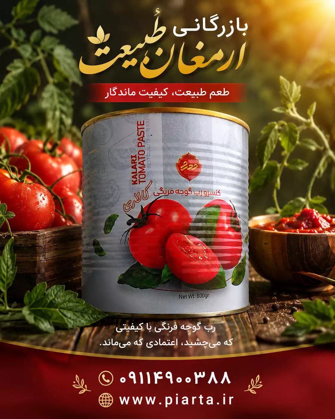 رب گوجه فرنگی کالاری  صادراتی 12 عددی