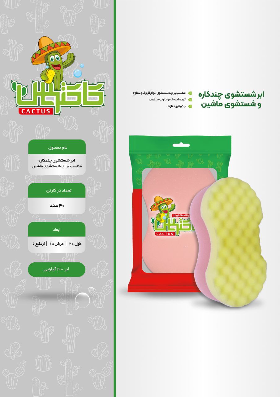 ابر ماشین شوی کاکتوس