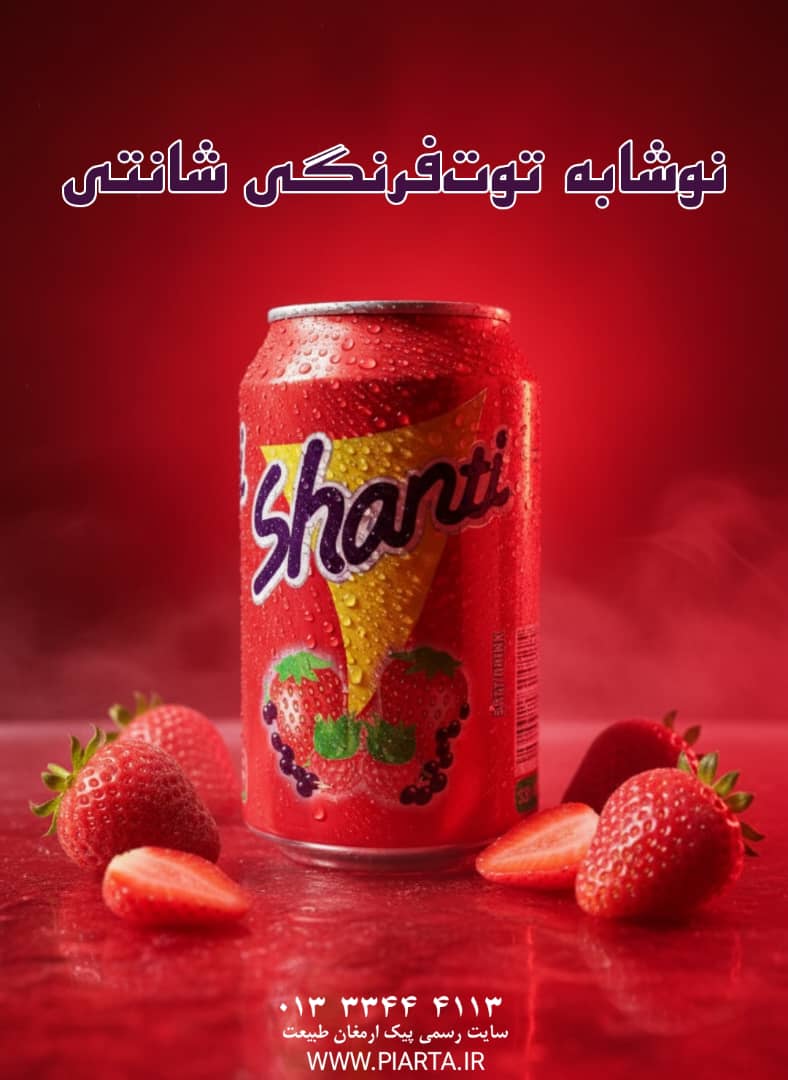 نوشابه قوطی 300 سی سی شنتی 